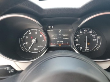 Alfa Romeo Stelvio SUV Facelifting 2.0 Turbo 280KM 2020 Alfa Romeo Stelvio TI 2020 2.0l 2.0 Benzyna 280KM, zdjęcie 9