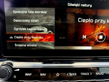 Kia XCeed Crossover 1.6 CRDi MHEV 136KM 2022 Kia XCeed PLATINUM skóra FUL LED nawi KAMERY, zdjęcie 18