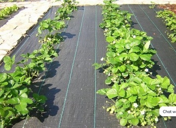Черный агротекстильный коврик против сорняков 80х5000 см.