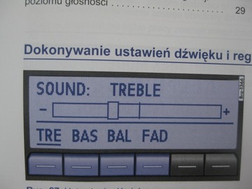 VW RCD 210 VW RCD 215 Польское радио + руководство пользователя мобильного телефона