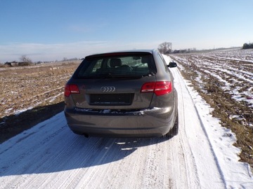 Audi A3 8P Hatchback 3d 1.6 TDI 105KM 2011 AUDI A3 1.6 TDI Z NIEMIEC ZAMIANA ZAREJESTROWANA, zdjęcie 5