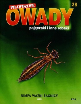 PRAWDZIWE OWADY nr 28 + Nimfa ważki żagnicy