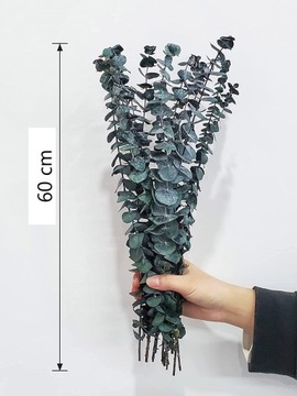 БУКЕТ ЭВКАЛИПТА BABY STABILIZED EVER LIVING BOHO, ЗЕЛЕНЫЕ ВЕТКИ