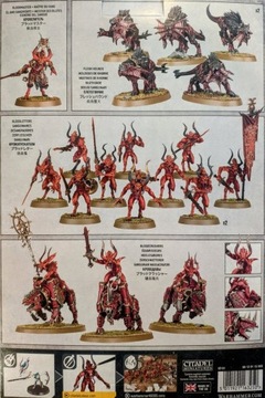 Боевой патруль: Демоны Хаоса