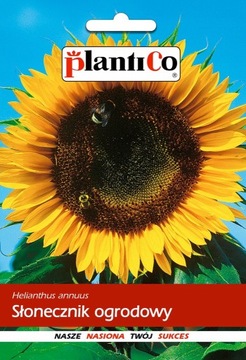 Słonecznik ogrodowy JADALNY 10g PLANTICO