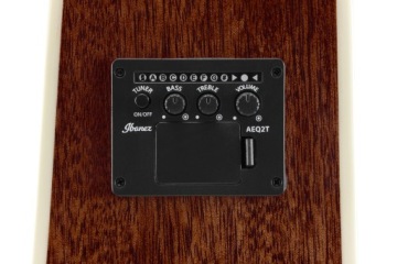 IBANEZ PF16WCE-NT Электроакустическая гитара