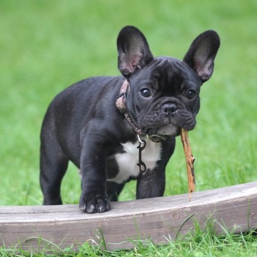 2 шт. ДВУХСТОРОННИЙ КРЮК С ЗАЖИМОМ-ЗАЩЕЛКОЙ КРЮК