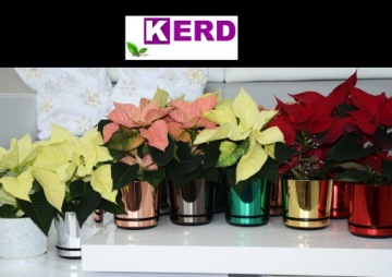 Рождественский горшок SHINY GOLD 26 см для больших цветов и маленькой елки