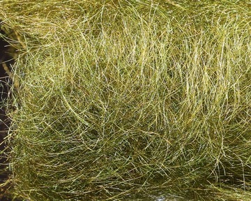 Sybai SLF SY-269127 Olive