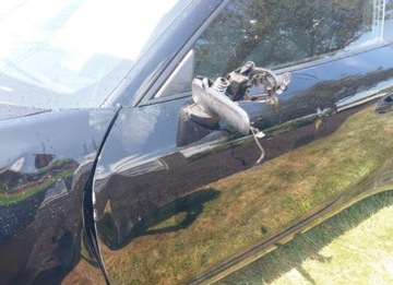 Porsche 911 991 Carrera 2/2S Coupe 3.4 350KM 2014 Porsche 911 2014, 3.4L, CARRERA, od ubezpieczalni 3.4 Benzyna 350KM, zdjęcie 2