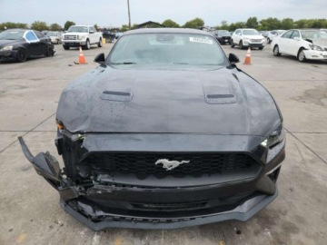 Ford Mustang VI 2022 Ford Mustang 2022 2.3L 2.3 Benzyna 310KM, zdjęcie 5