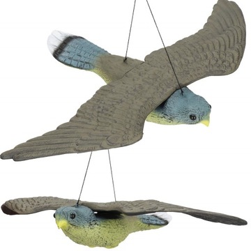БОЛЬШОЙ СОКОЛ ПТИЦ ОТПУСКАТЕЛЬ ГОЛУБЕЙ НАЧИНКИ ВИСЯЧИЙ САД ЛЕТАЮЩАЯ ПТИЦА
