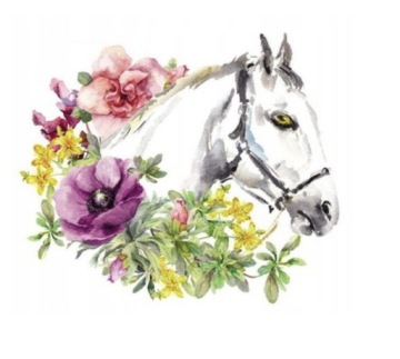 Naprasowanka Aplikacja termo Naklejka Koń boho 3