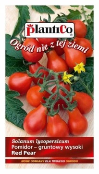 POMIDOR KOKTAJLOWY GRUSZKOWY RED PEAR NASIONA