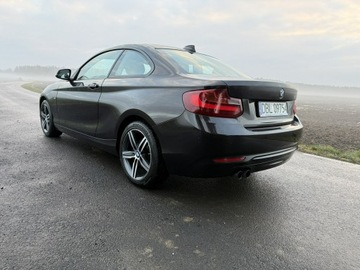BMW Seria 2 F22-F23-F45-F46 Coupe 220i (Euro 6) 184KM 2016 BMW 220 2.0i 184KM 68tys.km. Navi Bezwypadkowy, zdjęcie 27