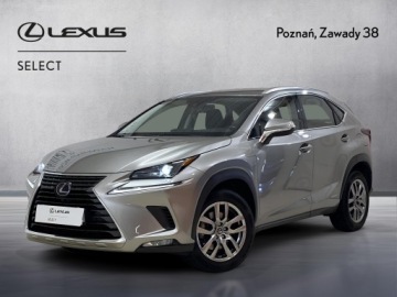 Lexus NX I SUV Facelifting 300h 197KM 2020 Lexus NX 300h Business Edition AWD I (2014-2021) L