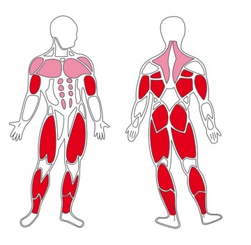Магнитный эллиптический тренажер Aktiv Sport 2.0