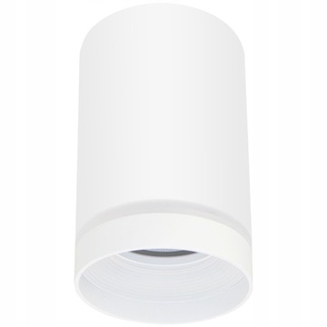 Lampa sufitowa FABRI GU10 plafon oprawa natynkowa biała 319883 GOLDLUX