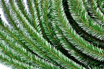 Композиция из камыша 50м, кладбищенская могила ручной работы