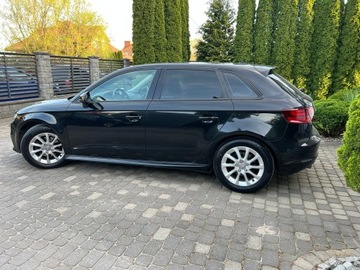 Audi A3 8V Hatchback 3d 1.6 TDI clean diesel 110KM 2014 Audi A3 2015R Skóra Klimatronik Tempomat Navi Alu Felgi 6-Biegów Bezwypadek, zdjęcie 29