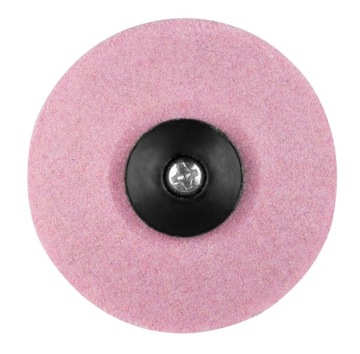 Страус на заградническом участке, первый котоуч