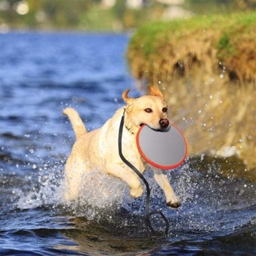 SMYCZ TRENING DLA PSA REGULOWANA DŁUGA TAŚMOWA 5m