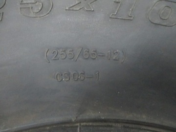 Can-Am Renegade Четырехдорожные шины STRYDER 25x10x12