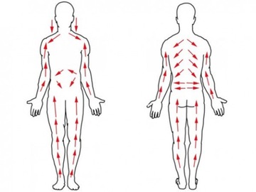 НАТУРАЛЬНАЯ ЩЕТКА ДЛЯ МАССАЖА СУХОГО И ВЛАЖНОГО ТЕЛА ОТ ЦЕЛЛЮЛИТА ЦЕЛЛЮЛИТ ТЕЛА