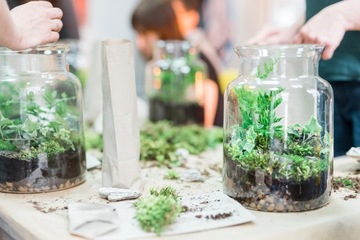 ЛЕС В СТЕКЛЯННОЙ БАНКЕ СТАРТОВЫЙ НАБОР ПОДСУБТРАТА 10 шт.