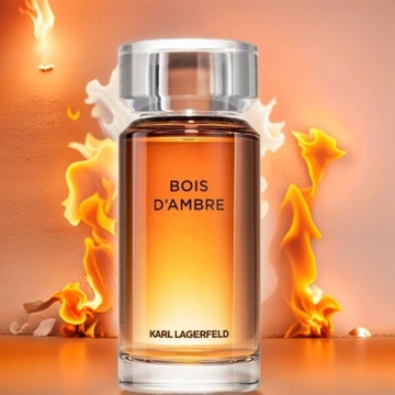KARL LAGERFELD BOIS D'AMBRE 100ML Туалетная вода МУЖСКИЕ ДУХИ