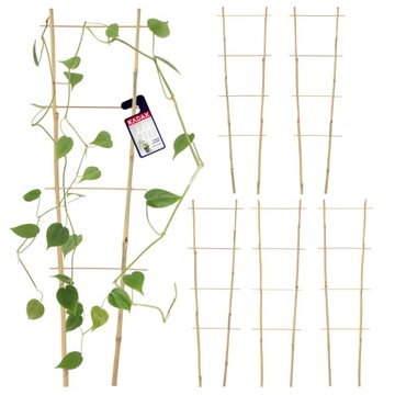DRABINKA BAMBUSOWA PERGOLA PODPORA 60 CM 5 SZT
