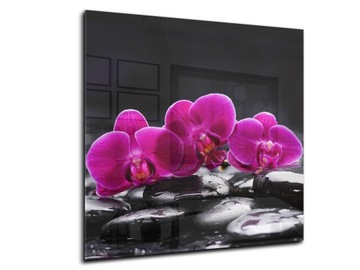 dekor szkło panel hartowany HD 50x50 storczyk