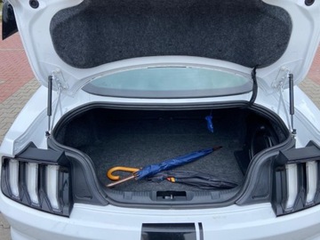 Ford Mustang VI Fastback Facelifting 5.0 Ti-VCT 450KM 2018 Ford Mustang Ford Mustang 5.0 V8 GT Salon Polska Automat 5.0 Benzyna, zdjęcie 38