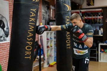 БОКСЕРСКИЕ ПЕРЧАТКИ PRO SPIDER 14 унций