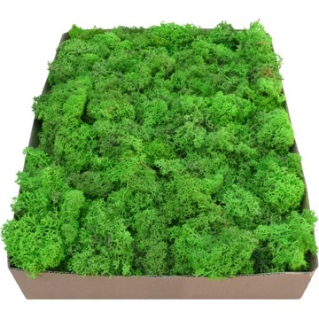 Отходы от Moss Moss Moss Light Green Cardboard 1 кг картон