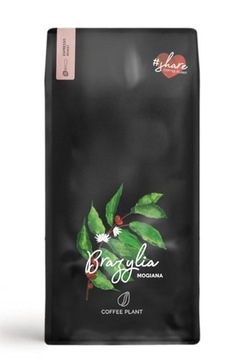 kawa COFFEE PLANT Brazylia Brazylia Mogiana