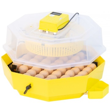 Inkubator wylęgarka klujnik Cleo5 na 41 jaj kury