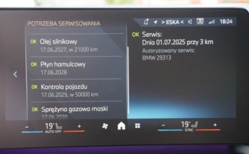 BMW Seria 1 F70 2025 BMW Seria 1 1-Wlasciciel Xdrive Led Matrix Panorama Keyless Harman M-Pakie, zdjęcie 38