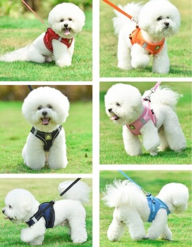 Ненапорная шлейка для средней собаки + поводок размера L.