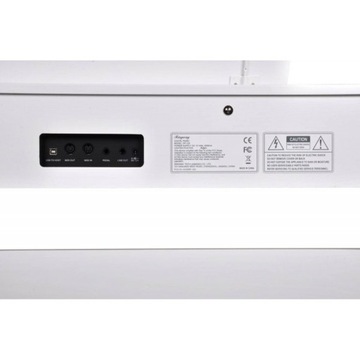 RINGWAY RP120 WH — БЕЛОЕ ЦИФРОВОЕ ПИАНИНО