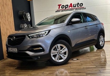 Opel 2019 Opel Grandland X 130 KM manual BEZWYPADKOWY gwarancja ZAREJESTROWANY, zdjęcie 15