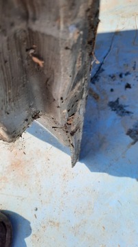 ДВЕРЬ ПЕРЕДНЯЯ ЛЕВАЯ AUDI A4 B5 96-00R