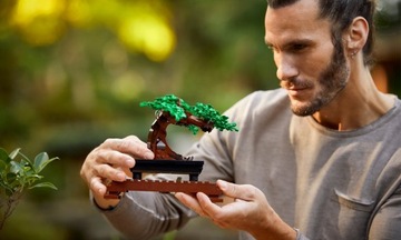 LEGO BLOCKS ICONS CREATOR EXPERT ДЕРЕВО БОНСАЙ ДЛЯ НЕГО И ЕЕ В ПОДАРОК