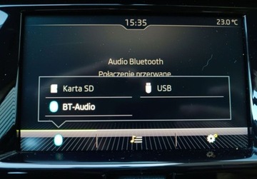 Skoda Fabia III Hatchback Facelifting 1.0 TSI 95KM 2020 Skoda Fabia 1.0 TSI 95KM SalonPL SerwisASO Iwl. FV23 Gwarancja Benzyna, zdjęcie 17