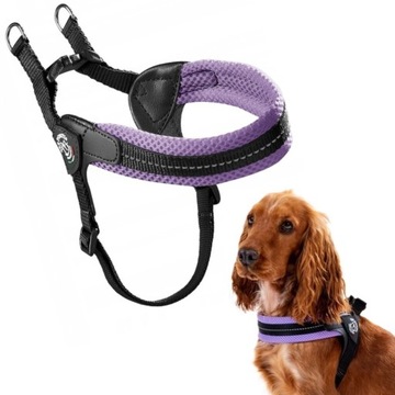 SZELKI mini psa 32-45cm TRE PONTI Mesh FIOLETOWE bezuciskowe Chihuahua