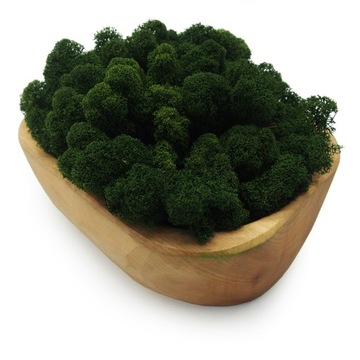 Финский мох 500г нетто, темно-зеленый