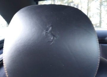 Ferrari California 2013 Ferrari California 2013 FERRARI CALIFORNIA, 4.3L, od ubezpieczalni 4.3, zdjęcie 20