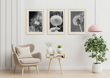 НАБОР БОХО КАРТИНА Одуванчик ПОСТЕР ПРИРОДА А4