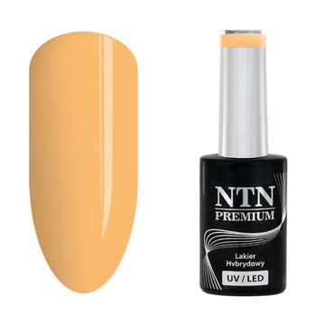 Lakier hybrydowy NTN Premium Show 110 5g
