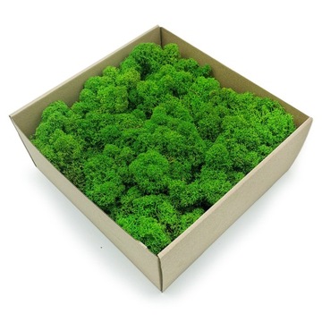 Mech Chrobotek Alpejski Premium 500g Netto